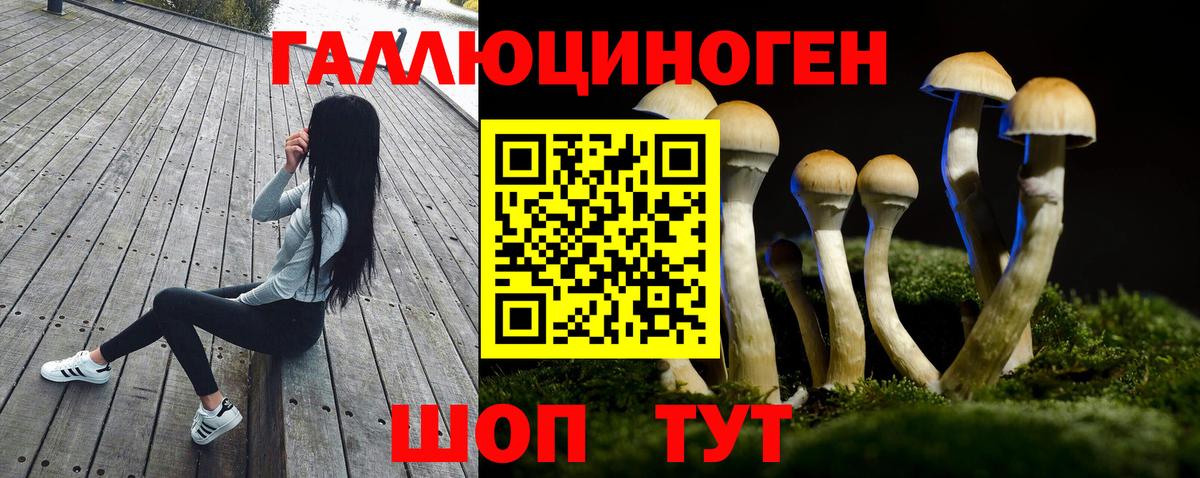 Галлюциногенные грибы Cubensis  Вход с VPN  Новоалександровск 
